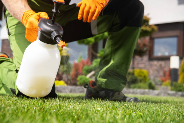 Best Mosquito Control Services  in Bethany, OR