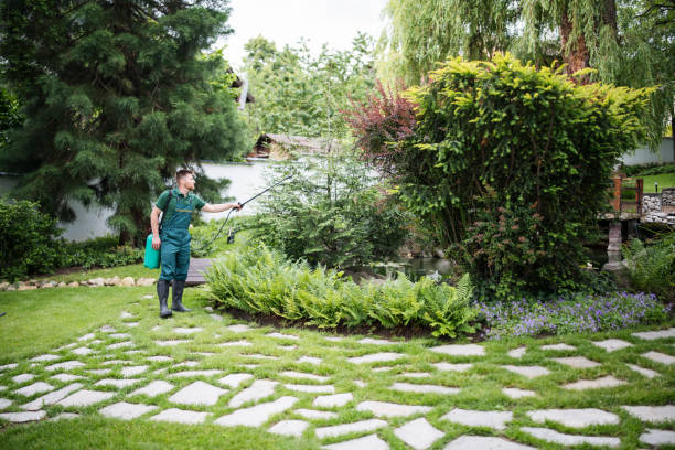 Best Best Pest Control Companies  in Bethany, OR